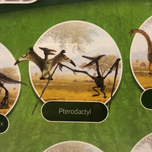 DINO DIG WOW WORLD NWT Science Tech Pterodactyl excavation playset - Picture 6 of 7